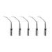 Woodpecker P2R Ultrasonic Scaler Tips 5pcs/Set - jmudental.com