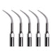 Woodpecker GD4 Ultrasonic Scaler DTE Tips 5pcs/Set - jmudental.com