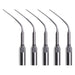 Woodpecker PD3 Ultrasonic Scaler DTE Tips 5pcs/Set - jmudental.com