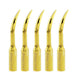 Woodpecker GD1T Ultrasonic Scaler DTE Tips 5pcs/Set - jmudental.com