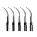 Woodpecker G2 Ultrasonic Scaler Tips 5pcs/Set- jmudental.com