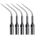 Woodpecker G3 Ultrasonic Scaler Tips 5pcs/Set- jmudental.com