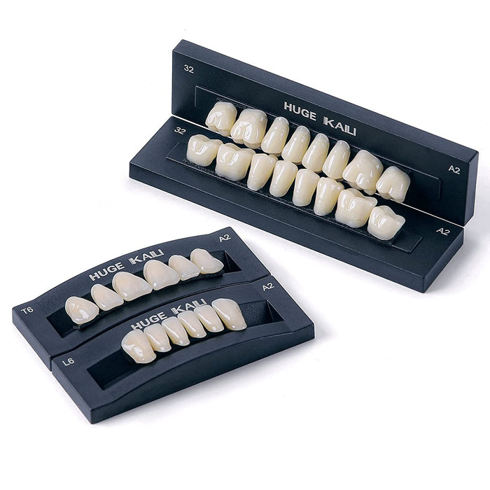 JMU Dental Acrylic Resin Denture Teeth 28Pcs/Set